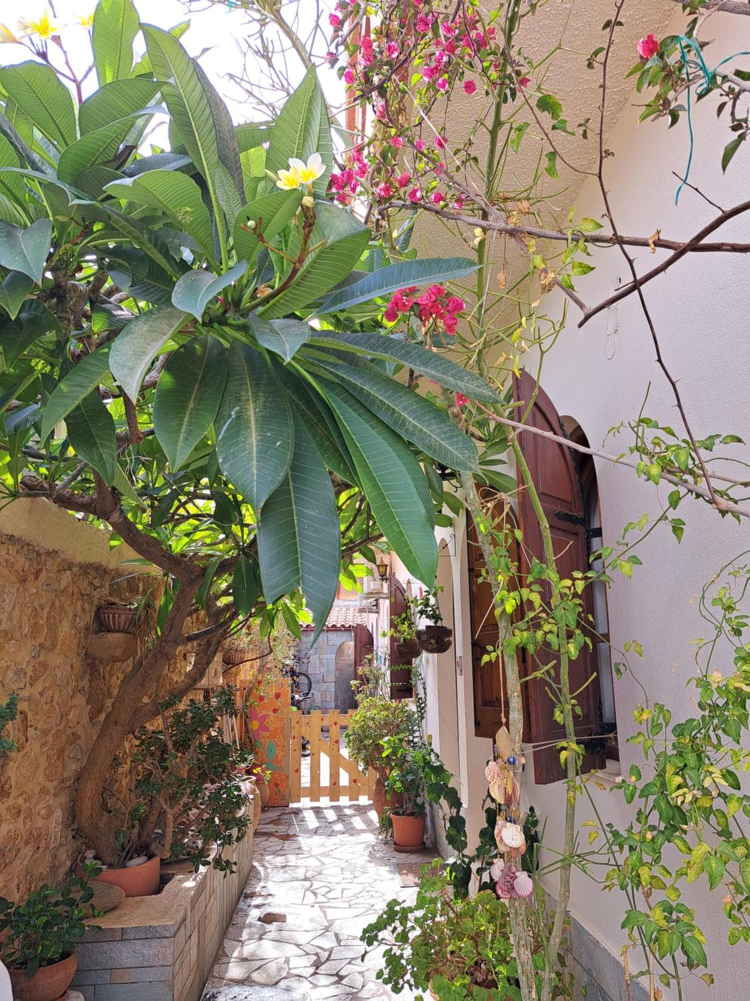Stella Apartments Malia Екстер'єр фото